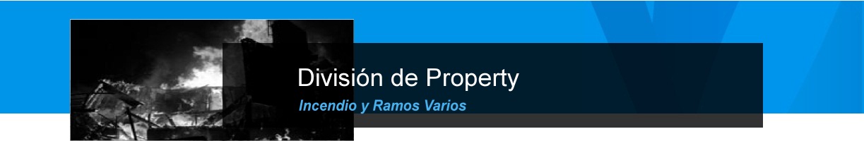 División de Property, Incendio y Ramos Varios