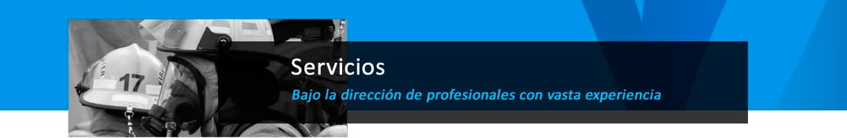 Servicios, Bajo la dirección de profesionales con vasta experiencia